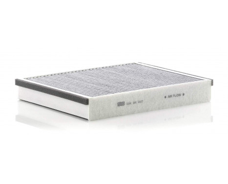 Filter, kupéventilation adsotop CUK 25 007 Mann