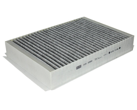 Filter, kupéventilation adsotop CUK 2950 Mann