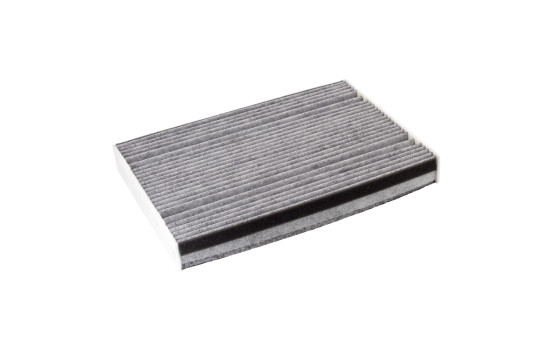 Filter, kupéventilation ADU172529 Blue Print