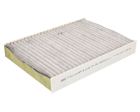 Filter, kupéventilation Frecious Plus FP 25 003 Mann