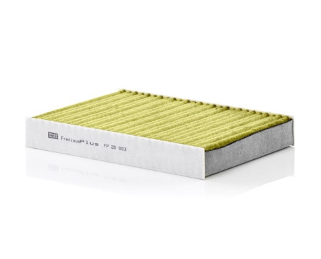 Filter, kupéventilation Frecious Plus FP 25 003 Mann, bild 2