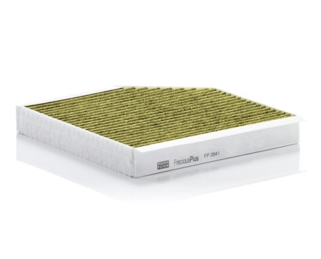 Filter, kupéventilation Frecious Plus FP 2641 Mann, bild 2