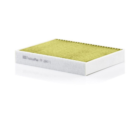 Filter, kupéventilation Frecious Plus FP 2847/1 Mann, bild 2