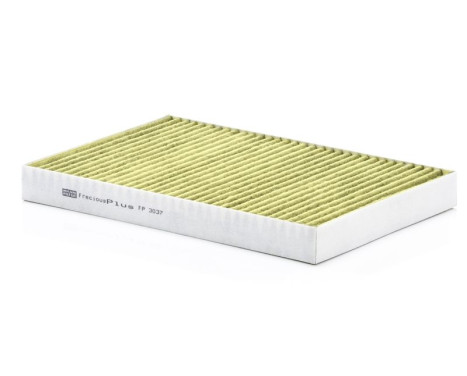 Filter, kupéventilation Frecious Plus FP 3037 Mann, bild 2