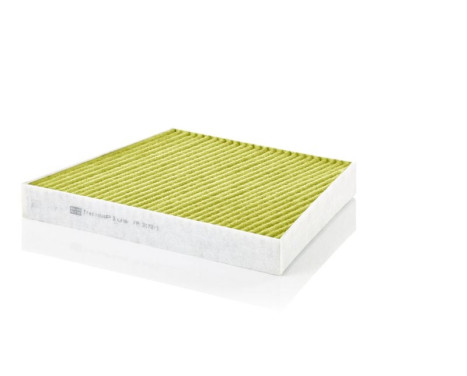 Filter, kupéventilation Frecious Plus FP 3172/1 Mann, bild 2