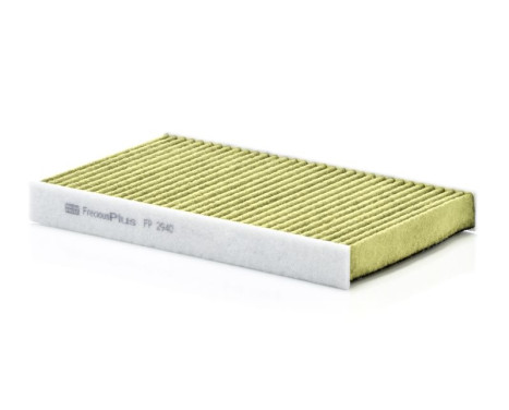 Filter, kupéventilation Frecious Plus FP2940 Mann, bild 3