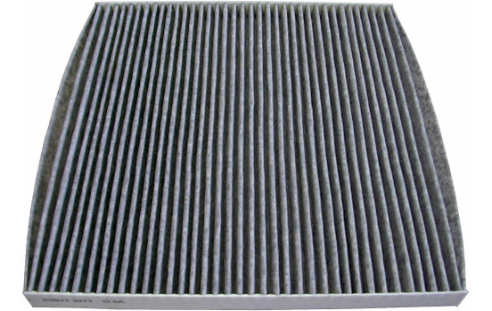 Filter, kupéventilation TSP0325336C Delphi