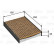 Filter, kupéventilation VALEO PROTECT MAX 701032