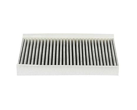 Hyttfilter BSG 15-145-001, bild 2