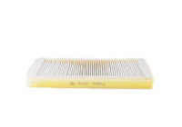 Hyttfilter BSG 15-145-016