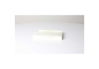 Hyttfilter BSG 25-145-004
