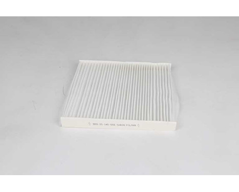 Hyttfilter BSG 25-145-005