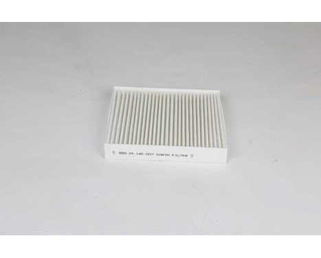 Hyttfilter BSG 25-145-007