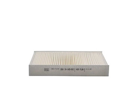 Hyttfilter BSG 30-145-002
