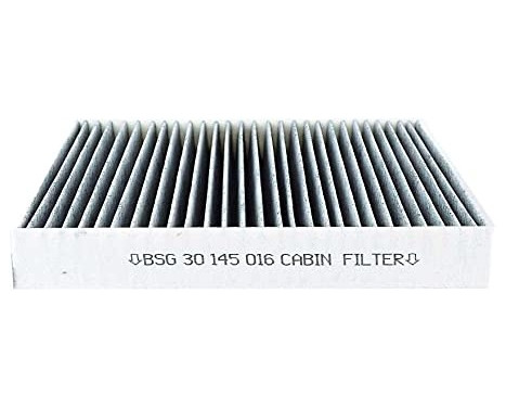 Hyttfilter BSG 30-145-016