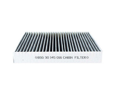 Hyttfilter BSG 30-145-016, bild 2