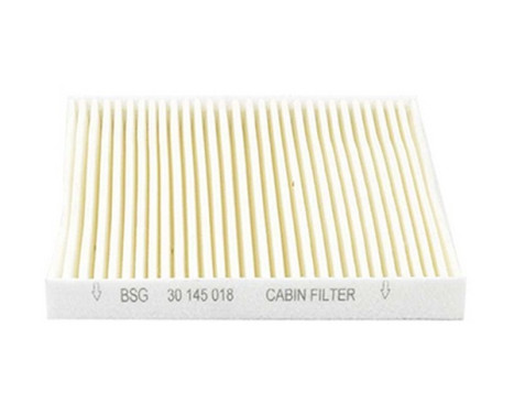 Hyttfilter BSG 30-145-018, bild 2
