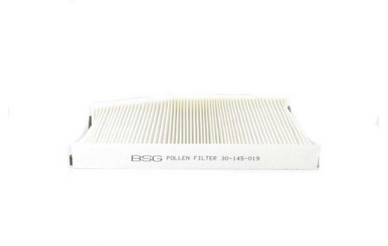 Hyttfilter BSG 30-145-019