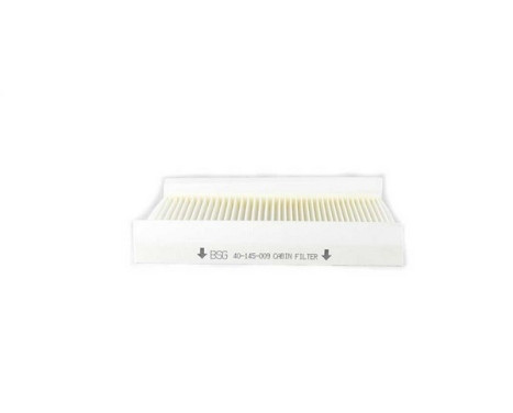 Hyttfilter BSG 40-145-011