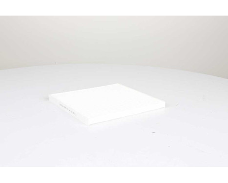 Hyttfilter BSG 40-145-019