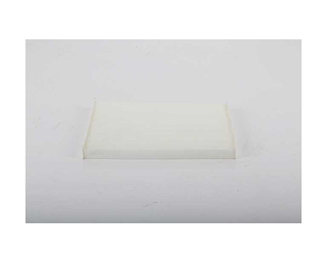 Hyttfilter BSG 40-145-023