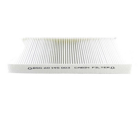 Hyttfilter BSG 60-145-003