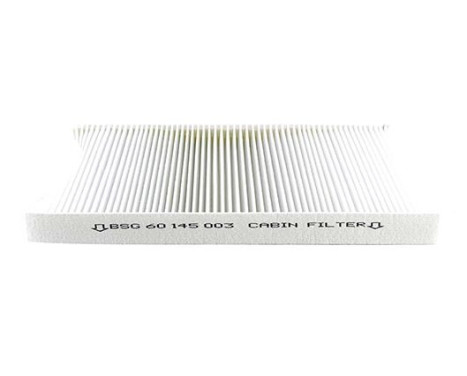 Hyttfilter BSG 60-145-003, bild 2