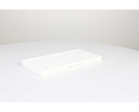 Hyttfilter BSG 60-145-017