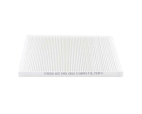Hyttfilter BSG 65-145-002, bild 3