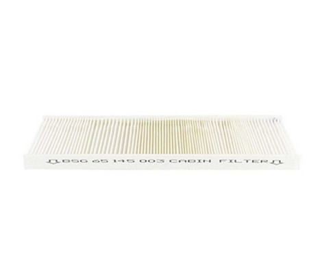 Hyttfilter BSG 65-145-003
