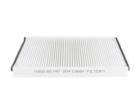Hyttfilter BSG 65-145-004, bild 2