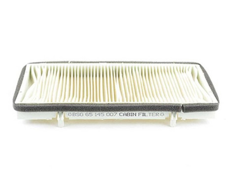 Hyttfilter BSG 65-145-007