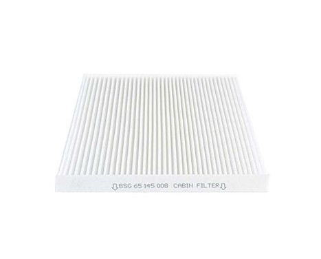 Hyttfilter BSG 65-145-008, bild 2