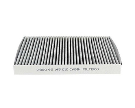Hyttfilter BSG 65-145-010