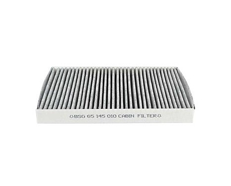 Hyttfilter BSG 65-145-010, bild 2