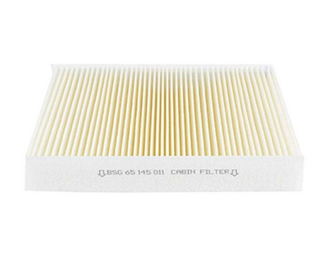 Hyttfilter BSG 65-145-011, bild 2