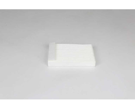 Hyttfilter BSG 65-145-015