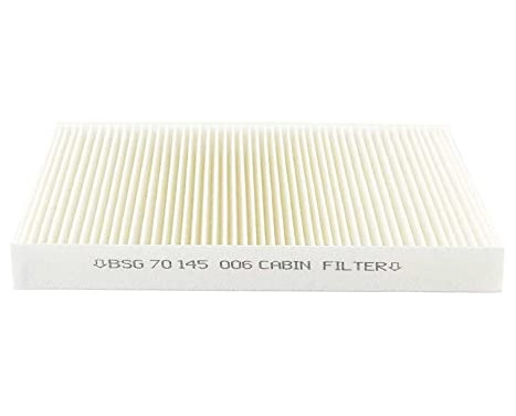 Hyttfilter BSG 70-145-003