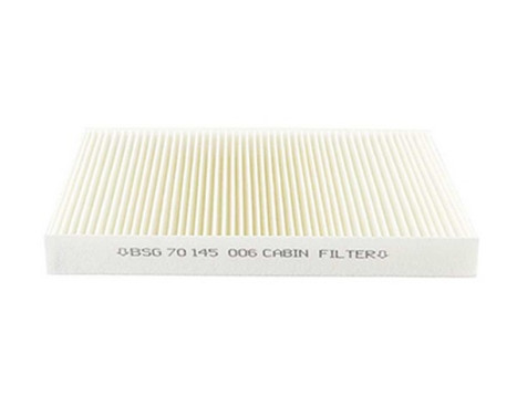 Hyttfilter BSG 70-145-003, bild 2