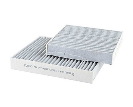 Hyttfilter BSG 70-145-007