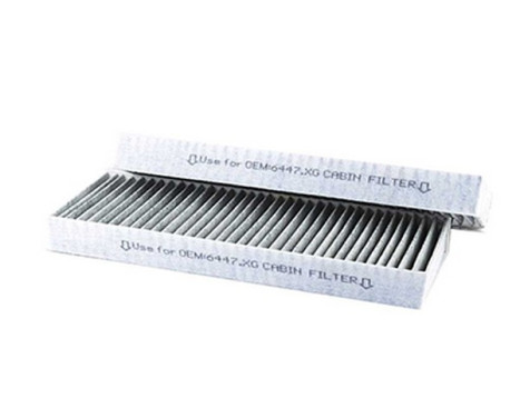 Hyttfilter BSG 70-145-013