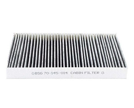 Hyttfilter BSG 70-145-014, bild 2