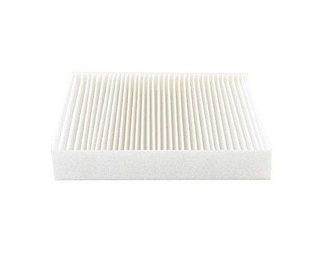 Hyttfilter BSG 70-145-016, bild 3