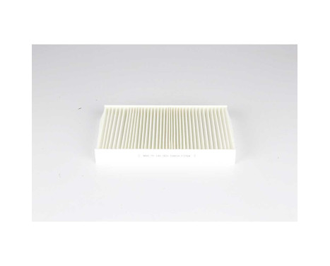 Hyttfilter BSG 75-145-003