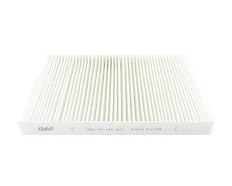 Hyttfilter BSG 90-145-001
