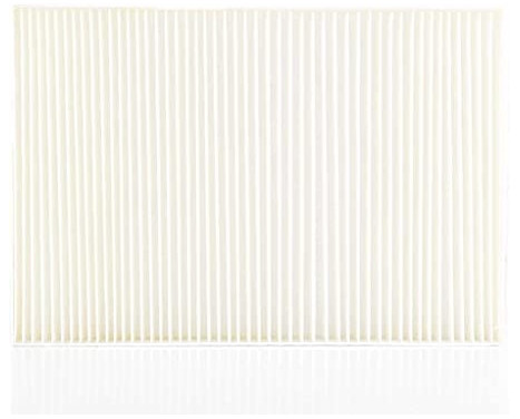 Hyttfilter BSG 90-145-009