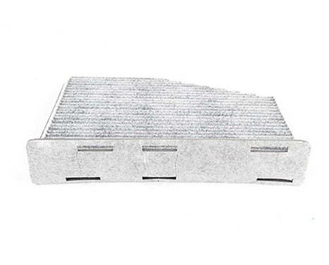 Hyttfilter BSG 90-145-013