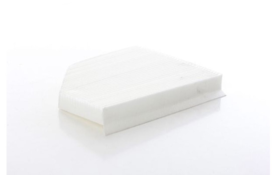 Hyttfilter BSG 90-145-017