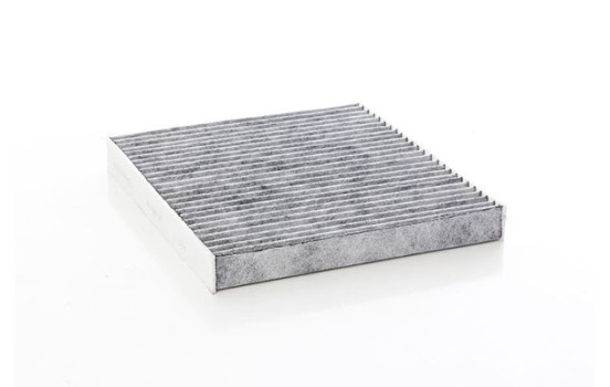 Hyttfilter BSG 90-145-018