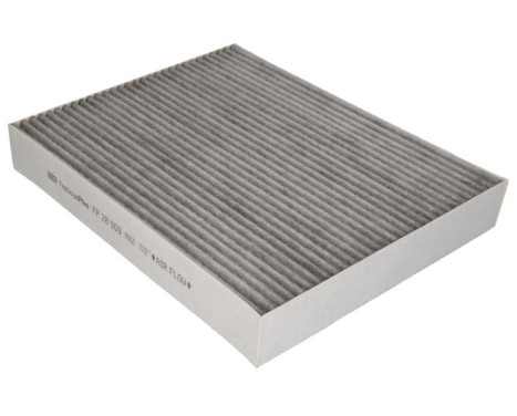Hyttfilter FP 28 009 Mann